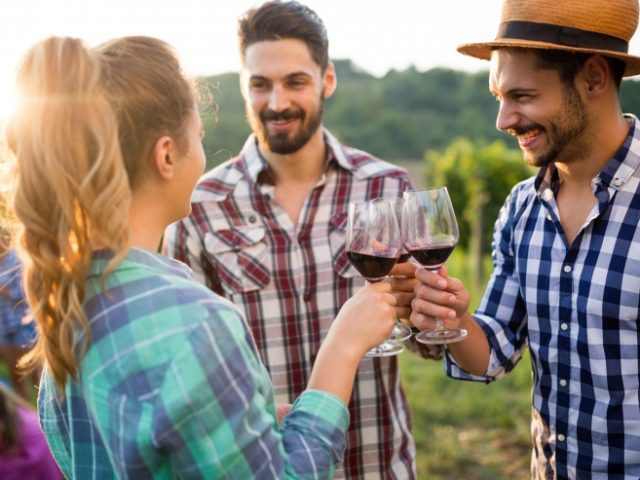 Cresce o interesse por conhecer vinícolas e degustar vinhos
