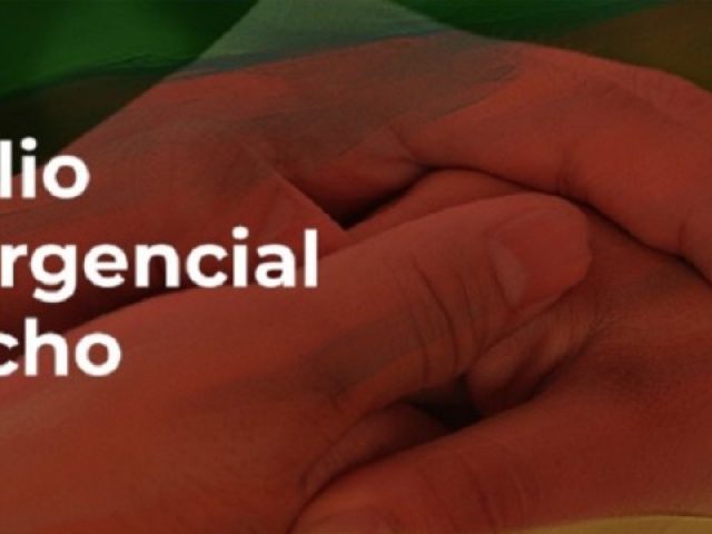 Auxílio Emergencial Gaúcho inicia pagamento pelo grupo das mulheres chefes de família