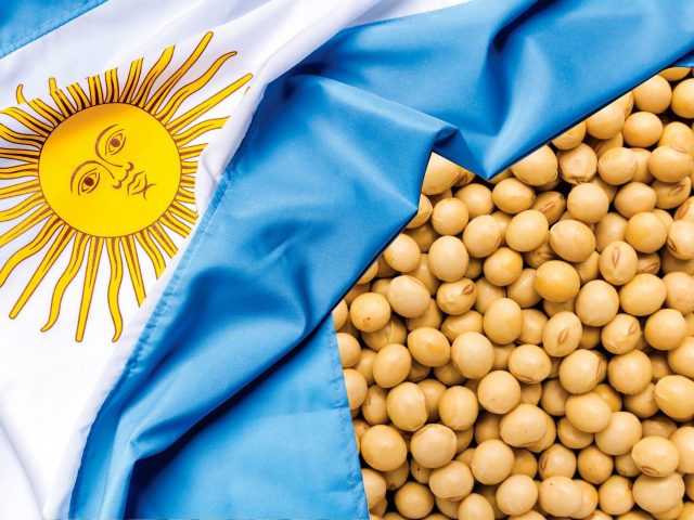 Bayer desiste de comercializar soja na Argentina