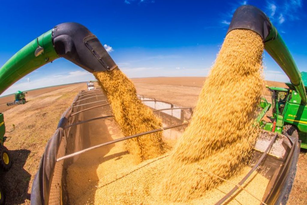 Parceria da Agricultura fará teste em solos para determinar produtividade da soja no RS