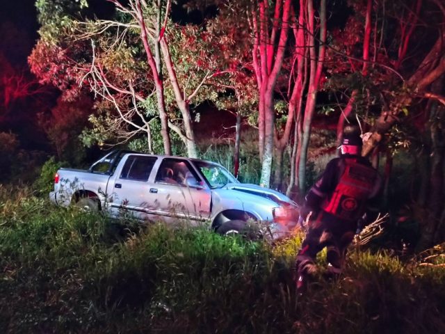 Condutor perde controle de caminhonete e colide em árvores entre Passo Fundo e Ernestina