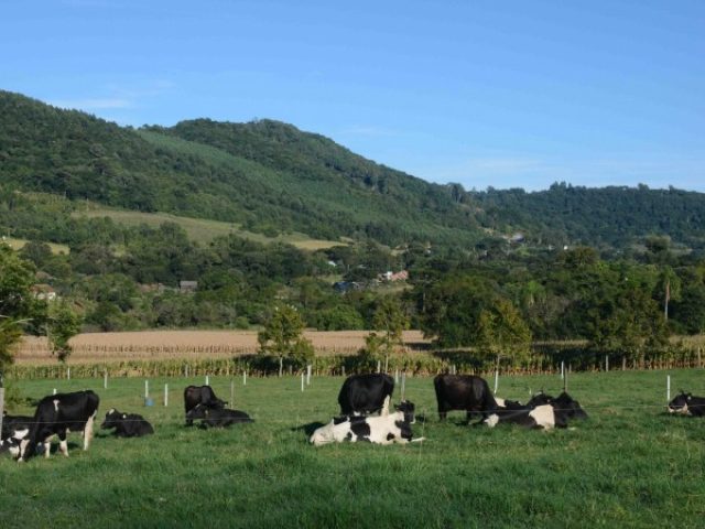 Agricultura autoriza execução do Programa de Sementes Forrageiras 2022